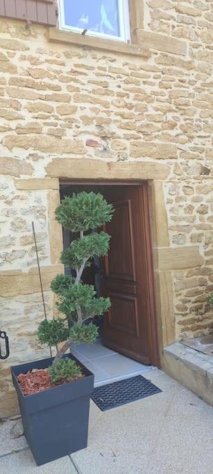 Le Gite Des Pierres Dorees Marcilly-d'Azergues ภายนอก รูปภาพ