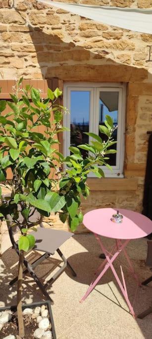 Le Gite Des Pierres Dorees Marcilly-d'Azergues ภายนอก รูปภาพ