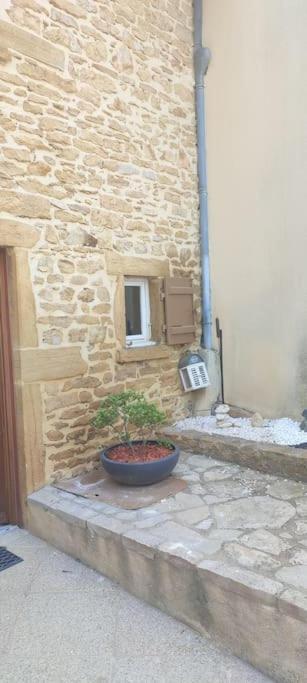 Le Gite Des Pierres Dorees Marcilly-d'Azergues ภายนอก รูปภาพ